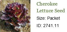 0200_20201223_1209_2021 Seed Order - Cherokee Lettuce.jpg